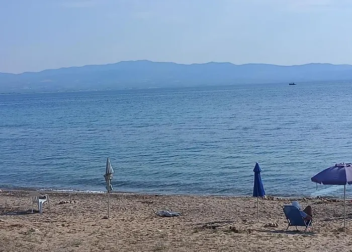 Spitaki House *