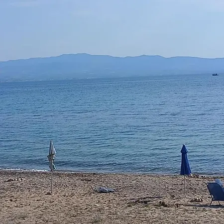 Spitaki House *